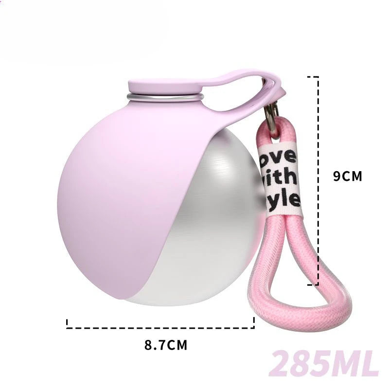 Stainless Steel Adventure Pet Flask