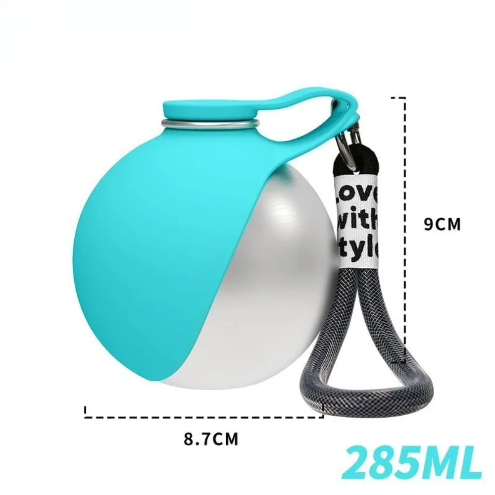 Stainless Steel Adventure Pet Flask