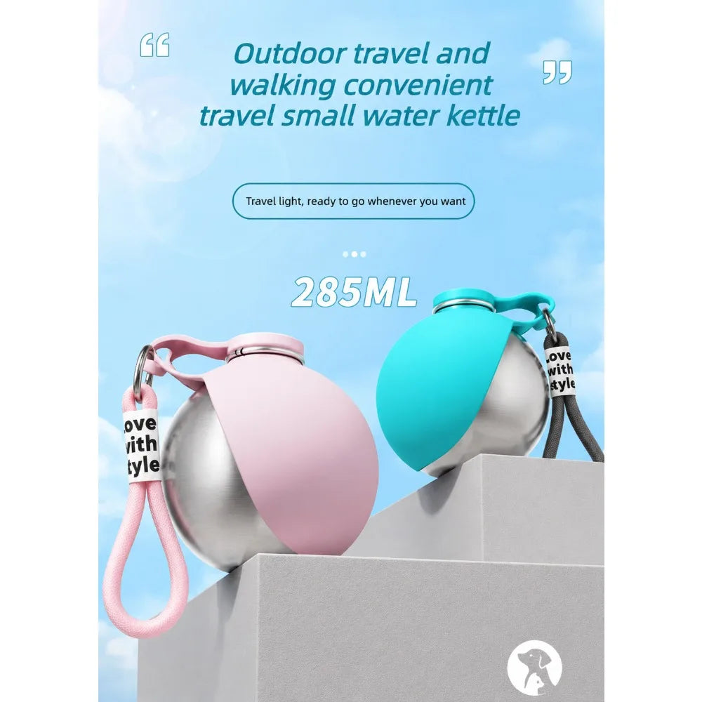 Stainless Steel Adventure Pet Flask