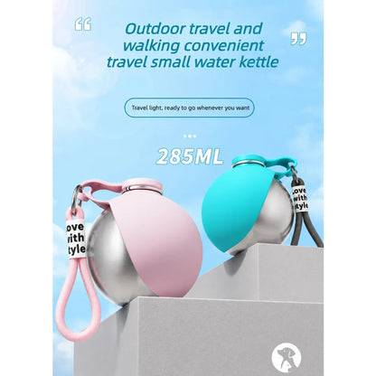 Stainless Steel Adventure Pet Flask