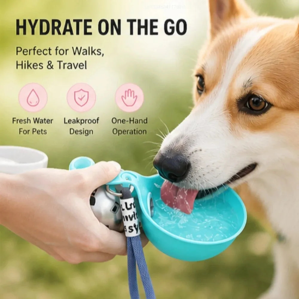 Stainless Steel Adventure Pet Flask
